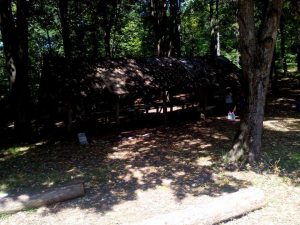 14054816_1169668233055881_82354741_n