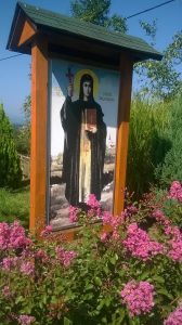 14063873_1191825320867523_1320342841209515341_n