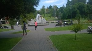 14067584_1191843867532335_740402927186537367_n